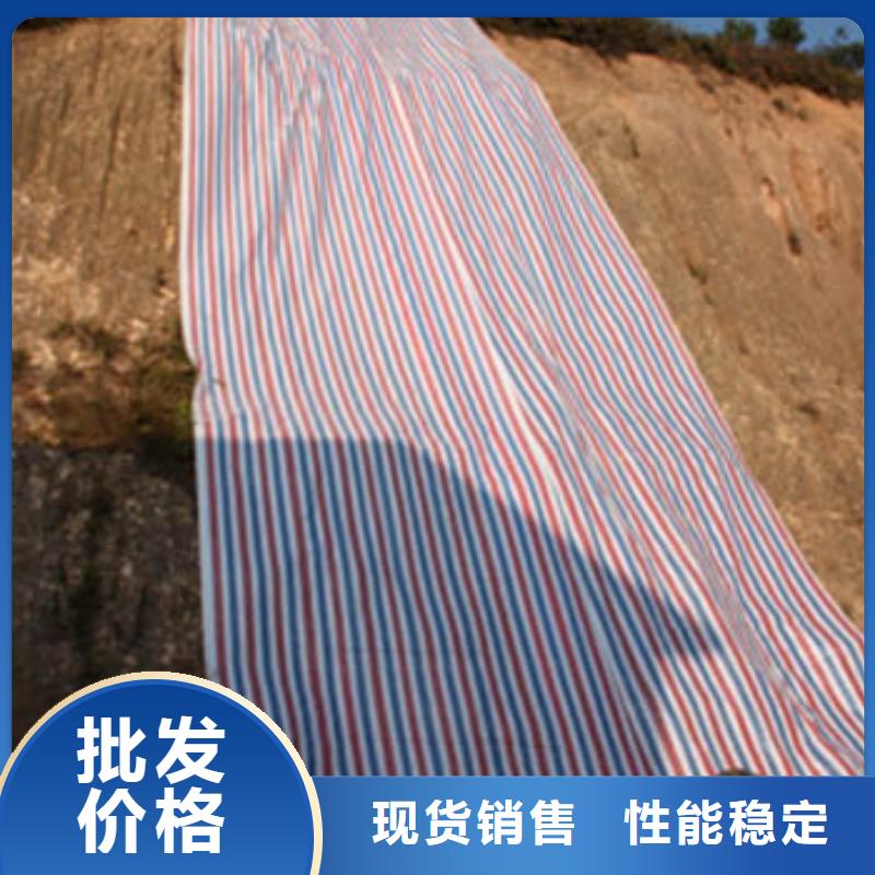 彩条布防雨布厂家规格全