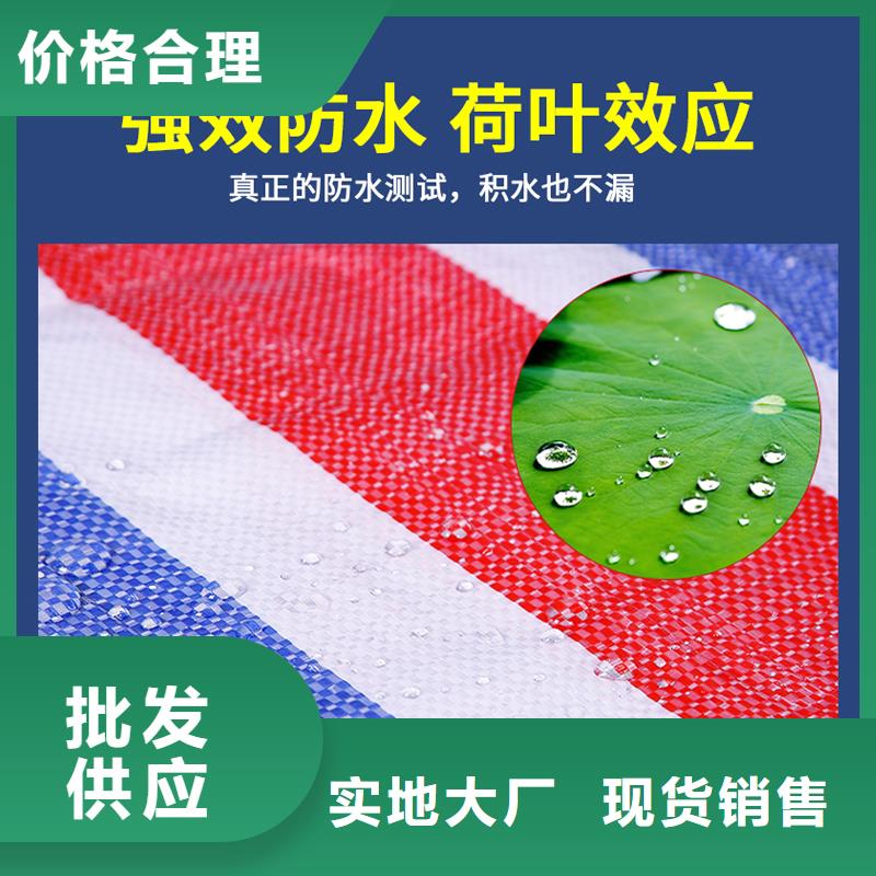 彩条布绿化防寒布加工厂优选厂商