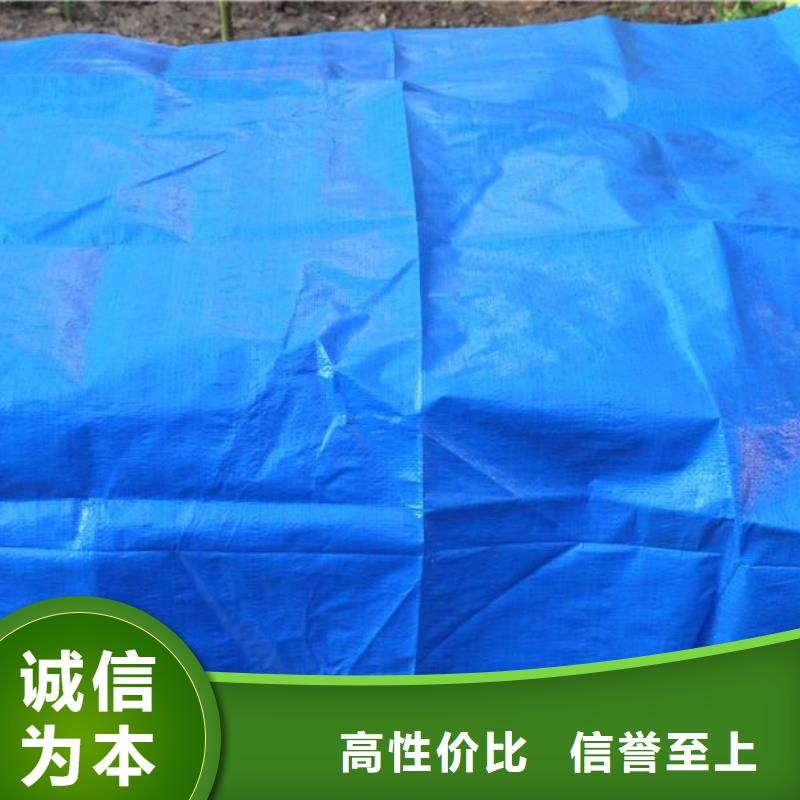 防雨布防水熟料彩条布大量现货
