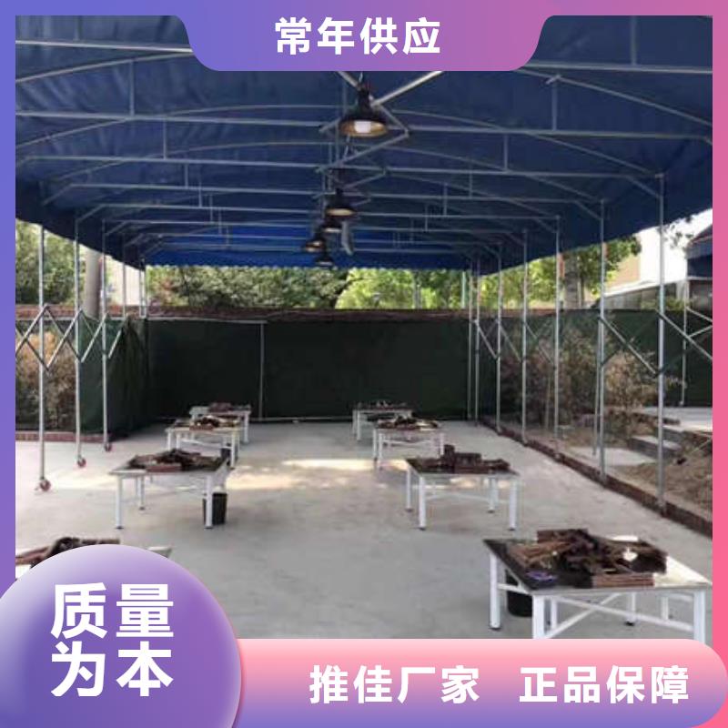 电动雨棚质量优