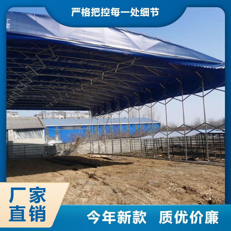 雨棚遮阳篷精心打造