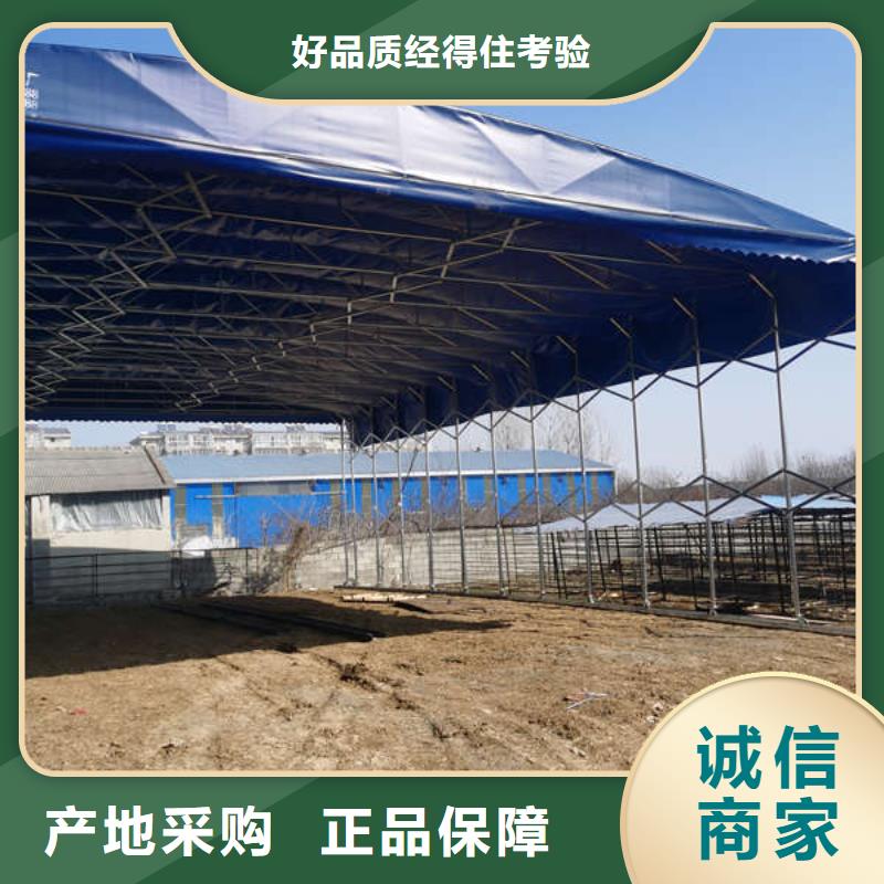 电动伸缩篷实力厂家