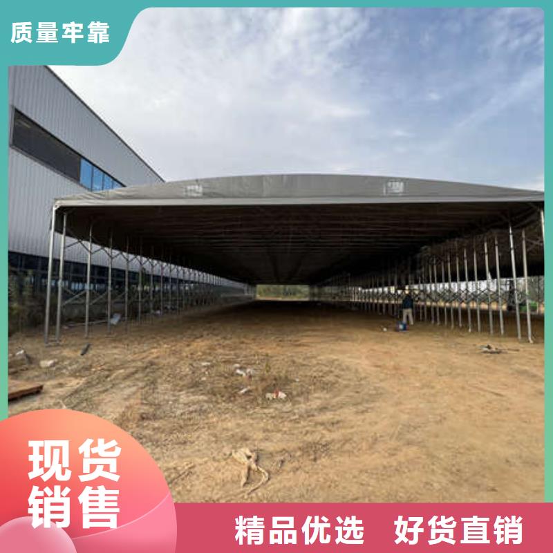电动雨棚量大从优