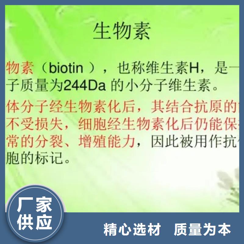 新和成生物素批发
