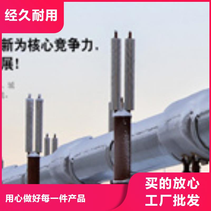 2025欢迎访问##威力巴XPJSG-DN250##实体厂家