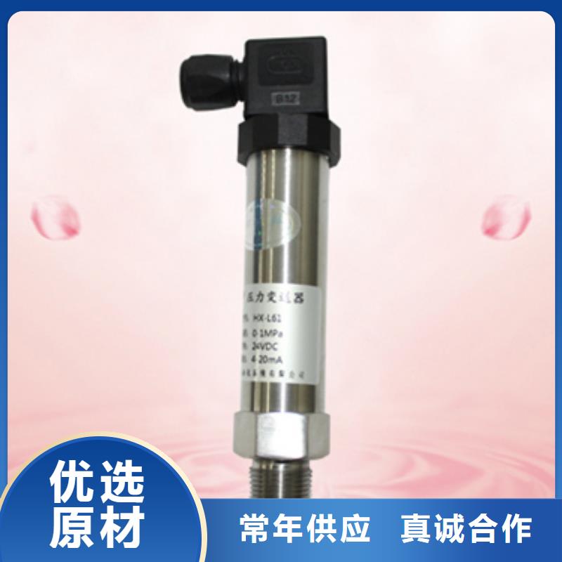 索正自动化仪表SWP-S804-22-03-HHLL值得信赖