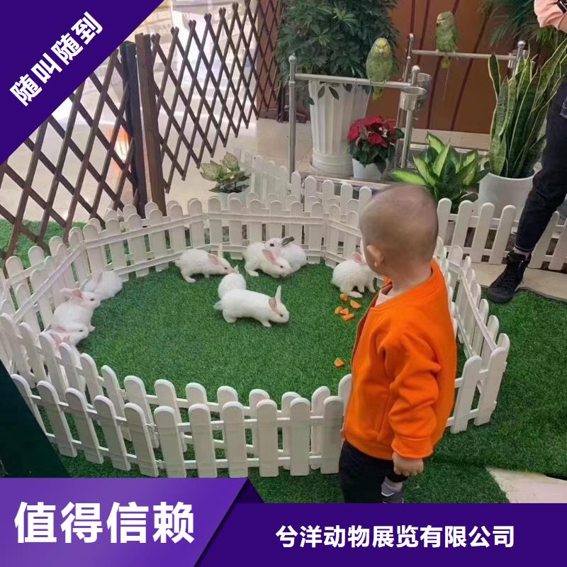 环球飞车表演租赁