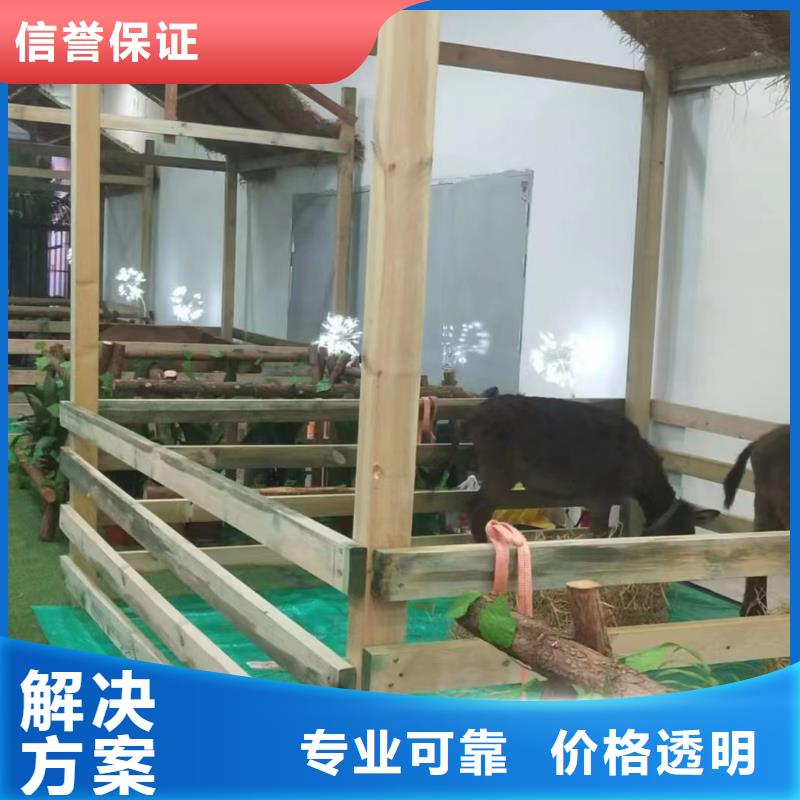 【马戏团/羊驼】马戏团表演出租租赁随叫随到