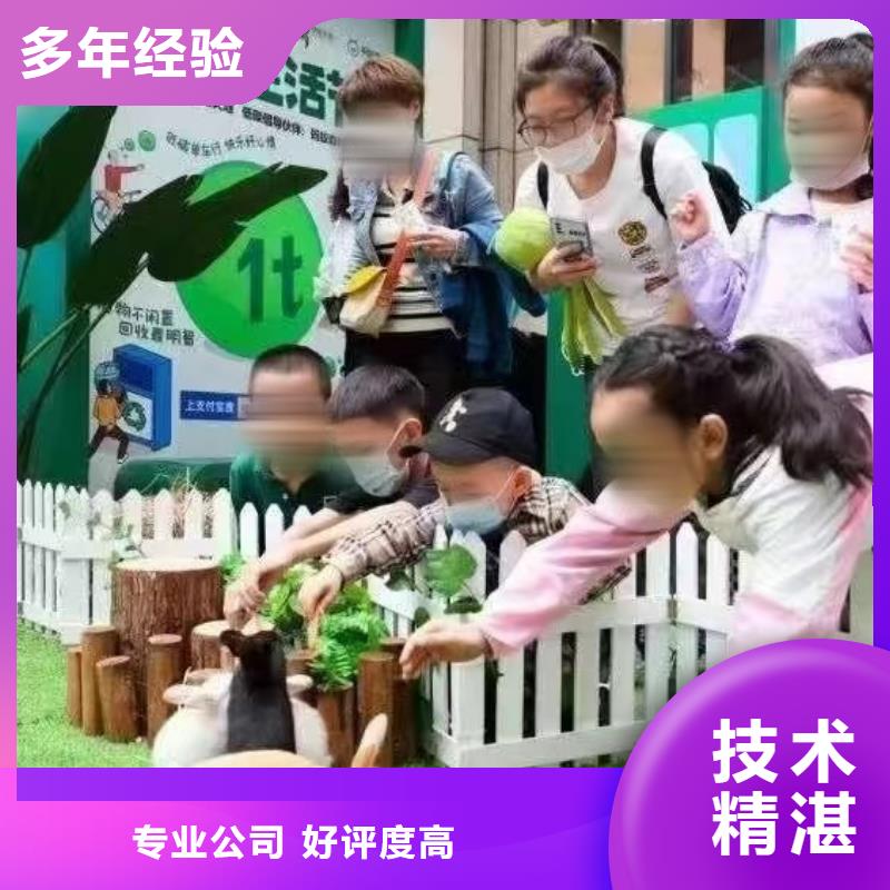 哪有租赁羊驼的商场活动