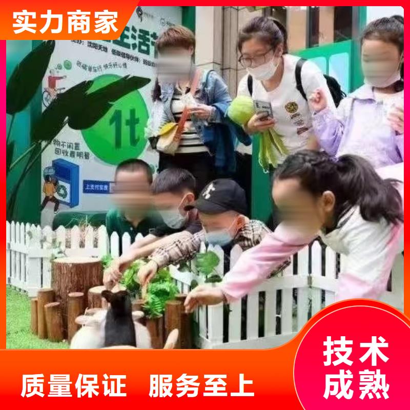 马戏团/羊驼海狮演出服务至上