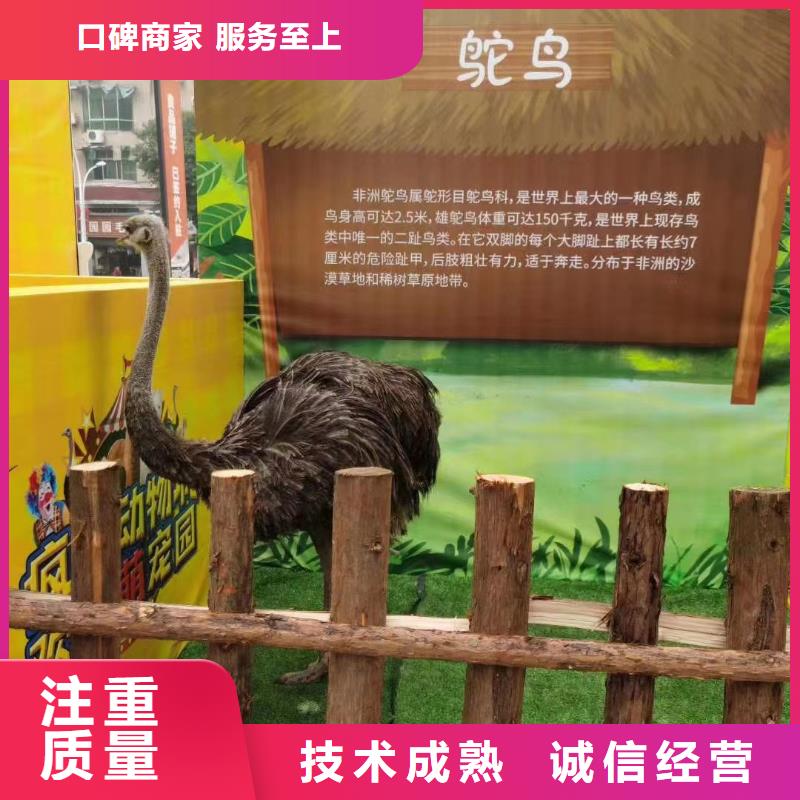萌宠展出租一手资源