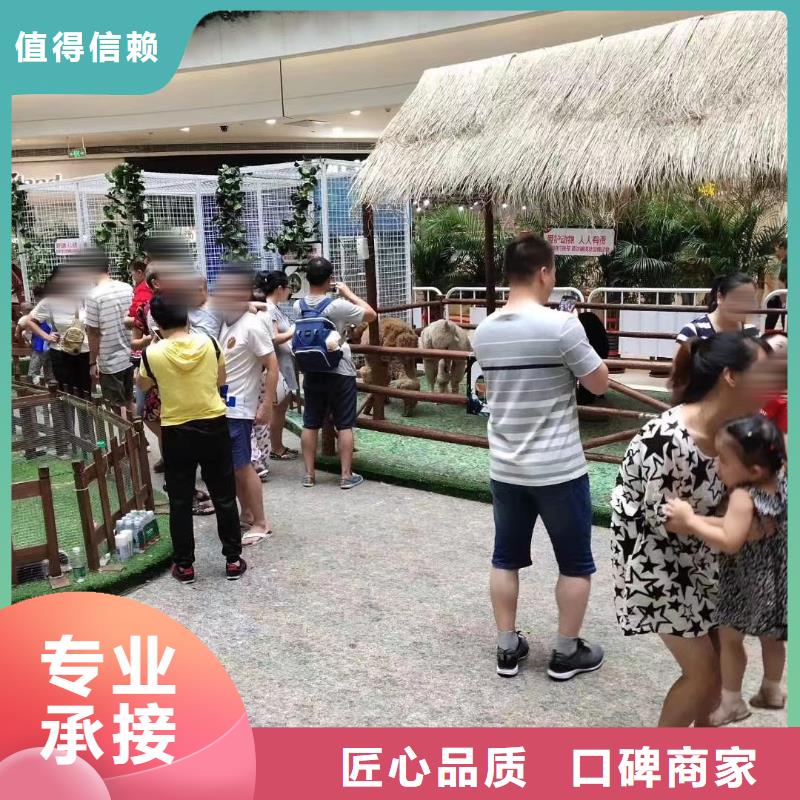 马戏团/羊驼 表演动物出租价格美丽