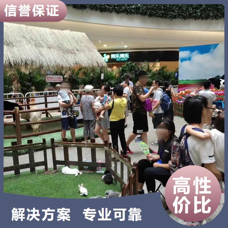 马戏团表演出租全国承接