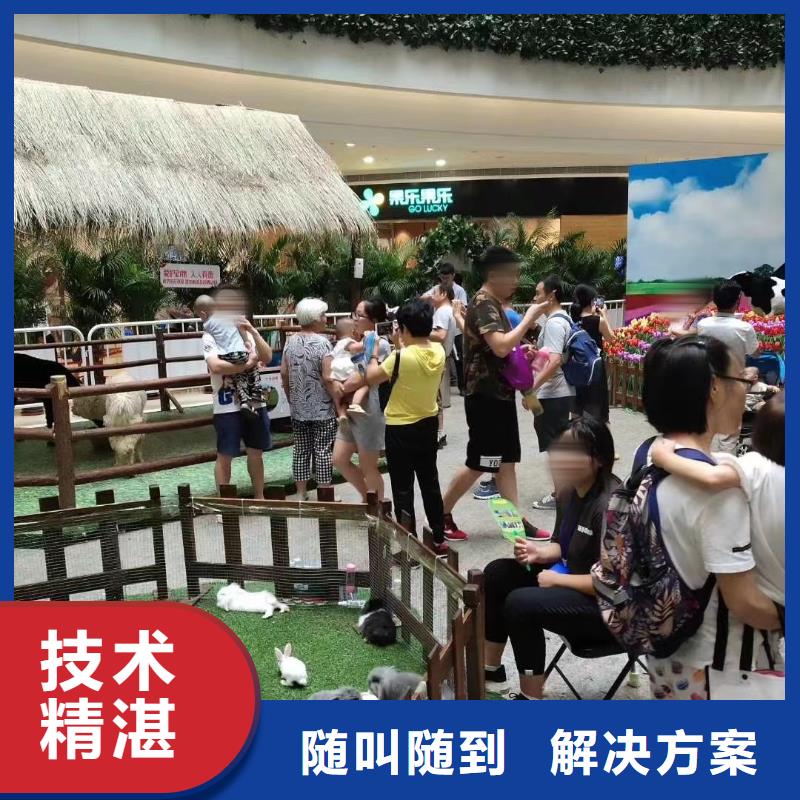 马戏团/羊驼海狮表演出租服务热情