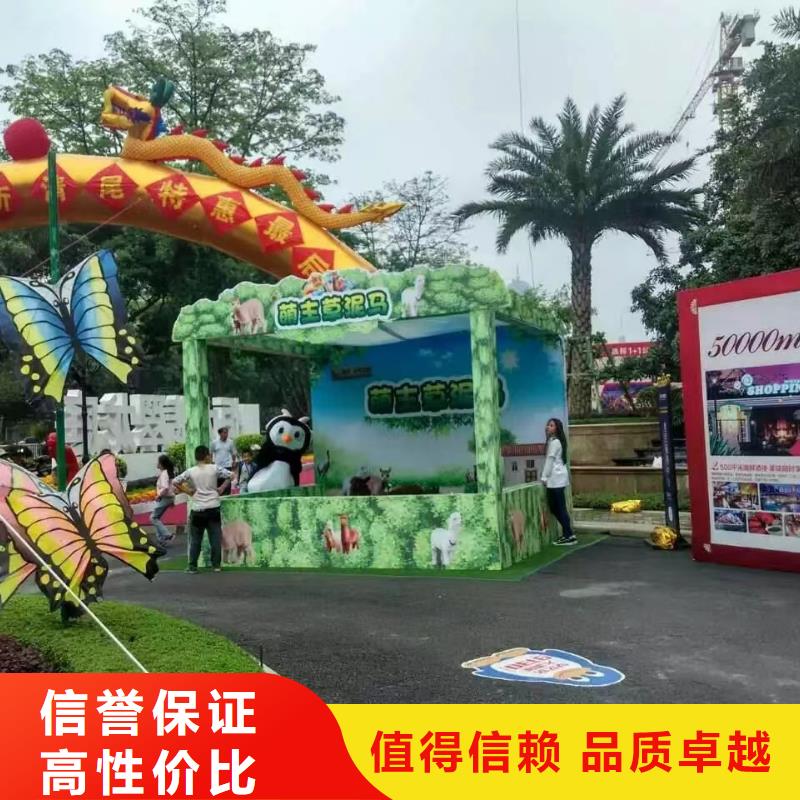 马戏团/羊驼【动物展览秀】精英团队