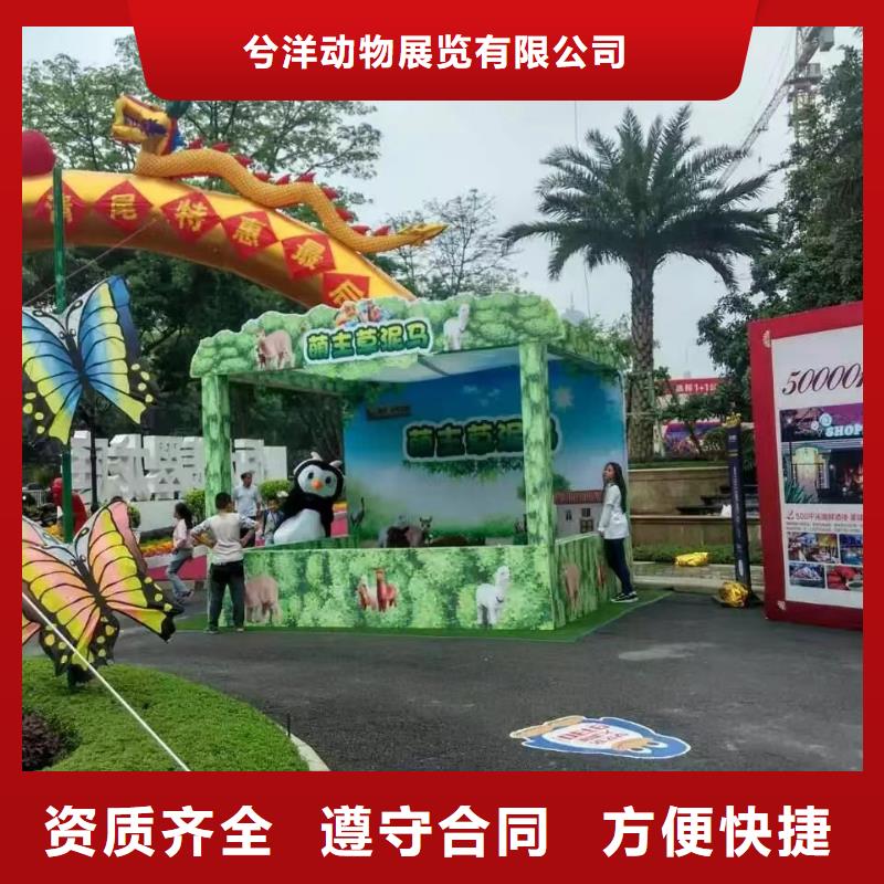 马戏团出租表演
