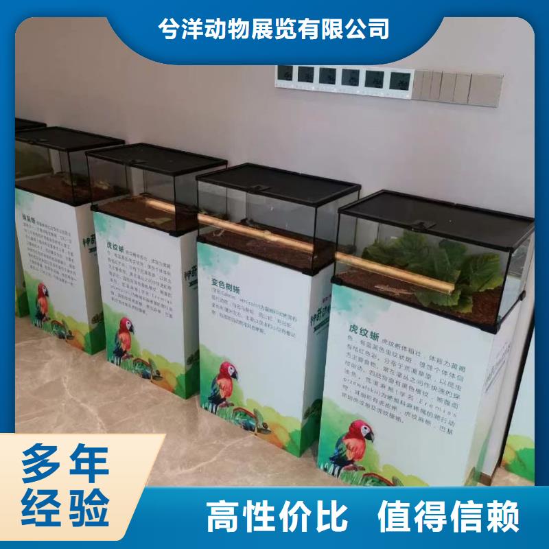 马戏团/羊驼【动物展览秀】精英团队