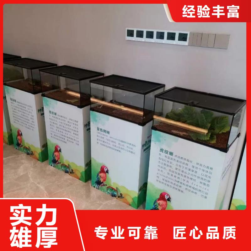 马戏团/羊驼马戏团表演解决方案