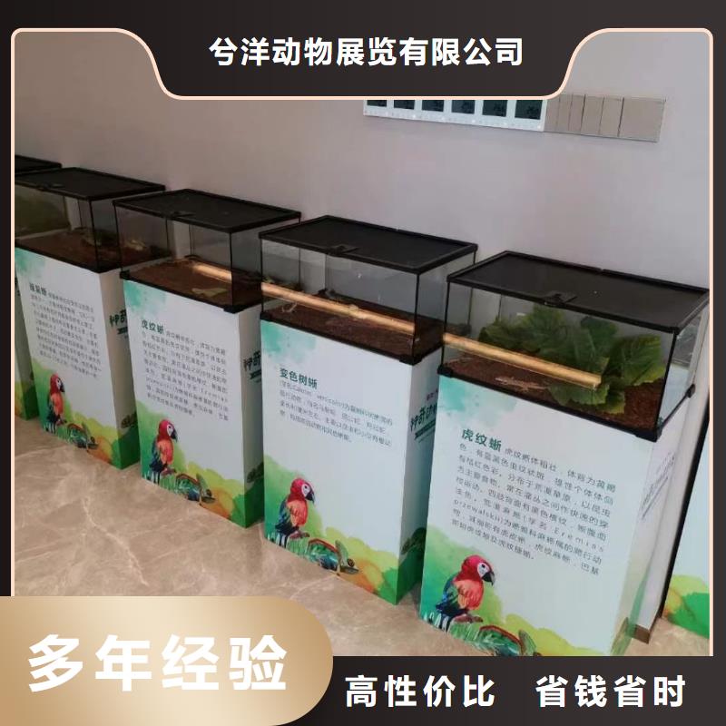 马戏团/羊驼商场马戏表演出租专业团队