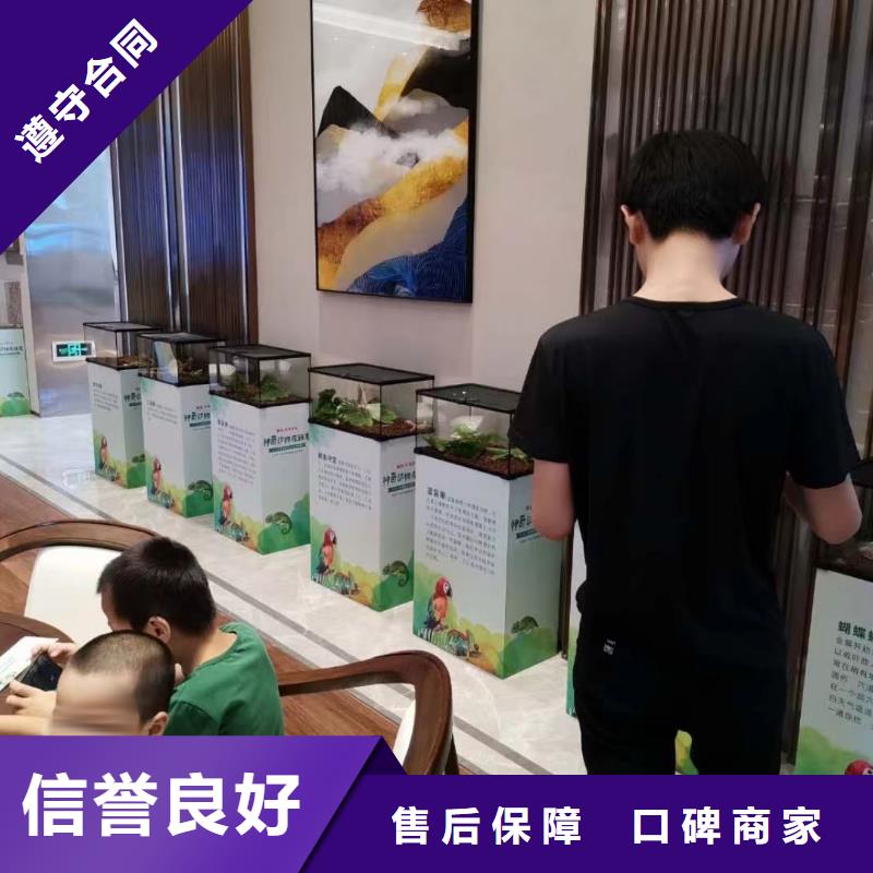 哪有出租马戏团表演的厂家服务完善