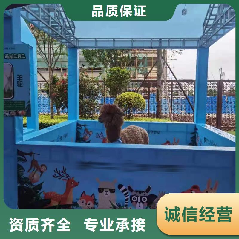马戏团/羊驼出租表演鹦鹉公司