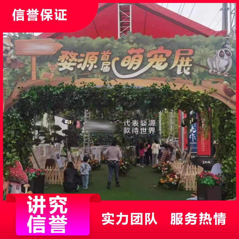 马戏团羊驼表演出租生产厂家质量过硬