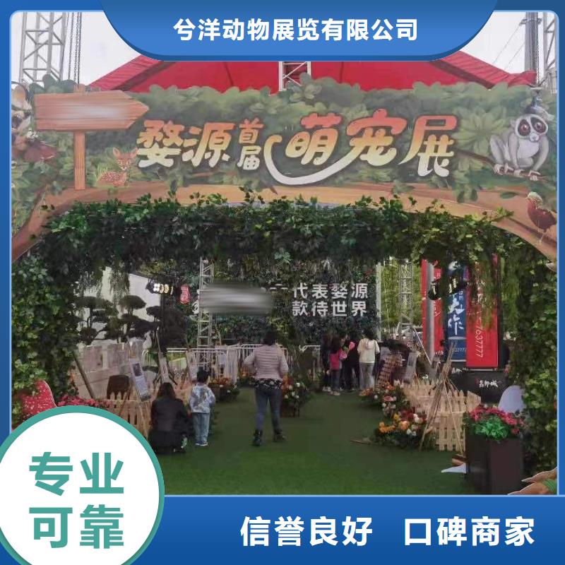 马戏团/羊驼【【出租企鹅表演】】专业承接