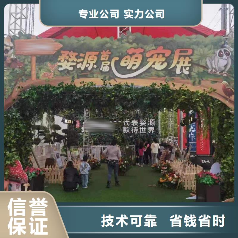 哪有租赁羊驼的商场活动