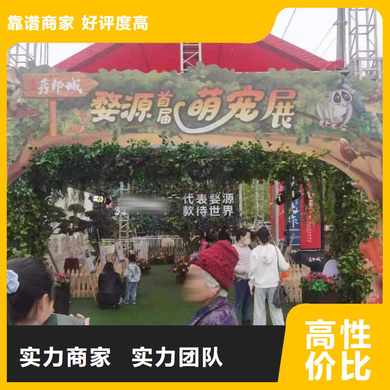 马戏团/羊驼【出租海狮表演】售后保障