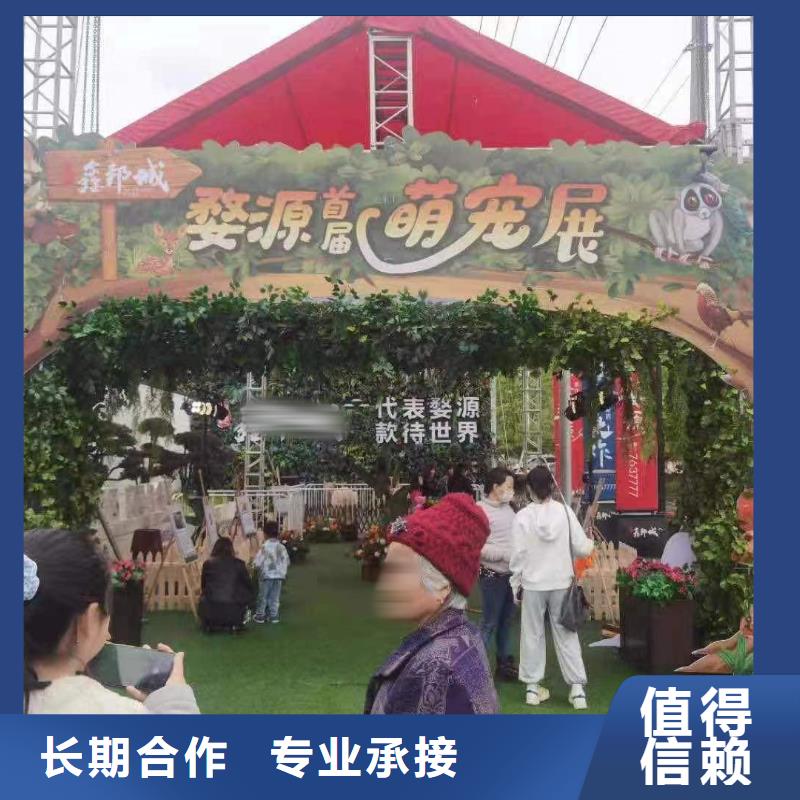 马戏团/羊驼动物表演租赁团队