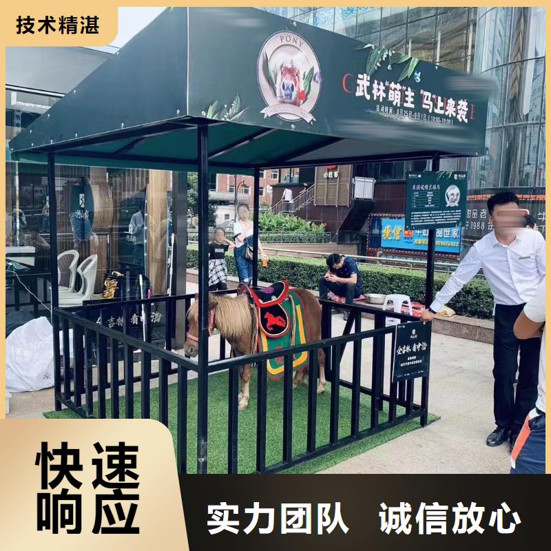 马戏团/羊驼 出租马戏表演口碑商家