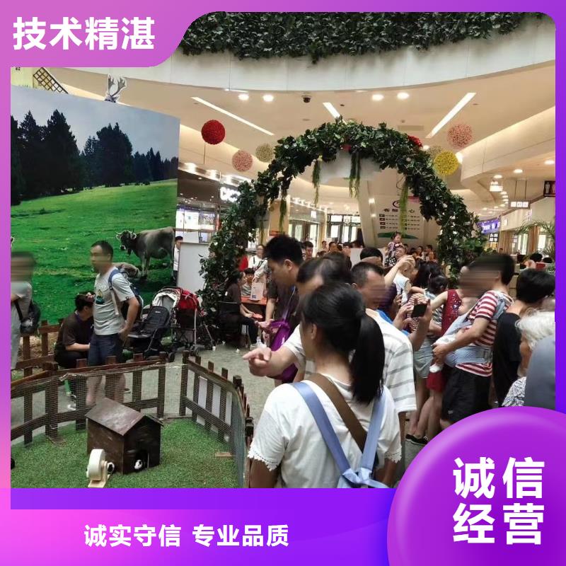 马戏团/羊驼海狮演出服务至上