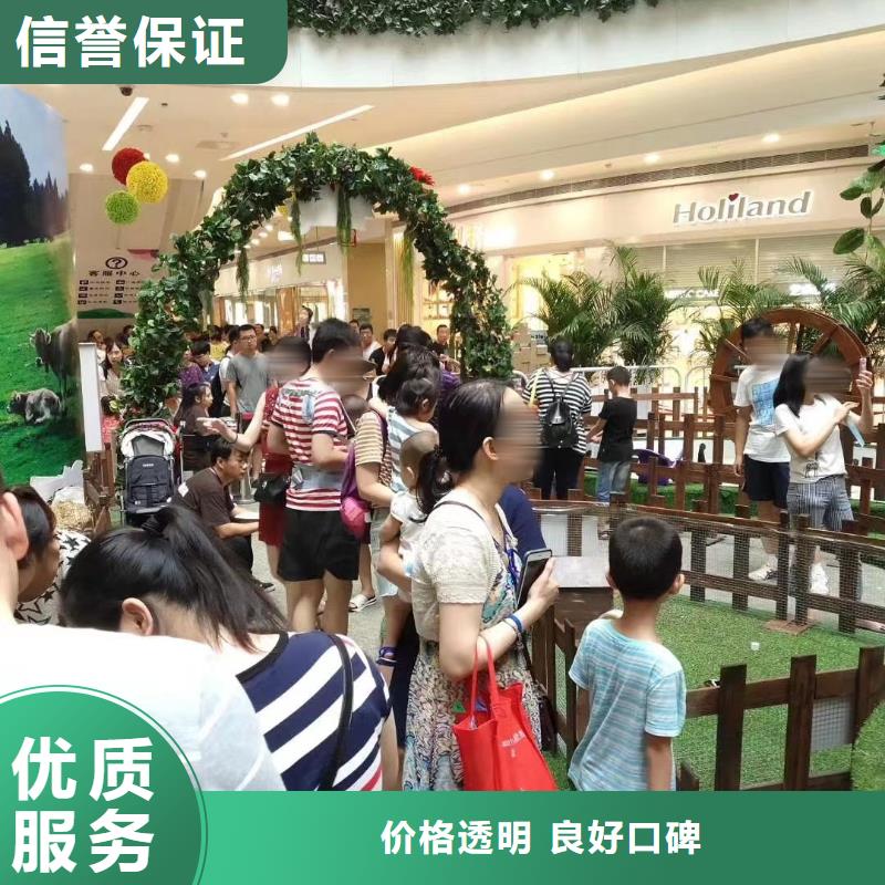 羊驼出售活动庆典