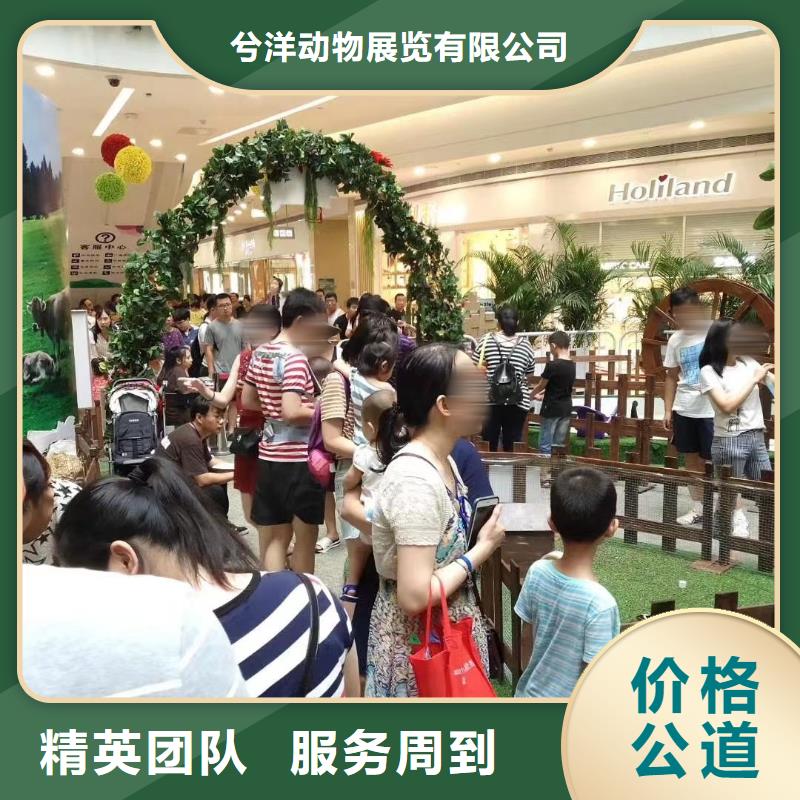 马戏团/羊驼-萌宠动物展出租案例丰富