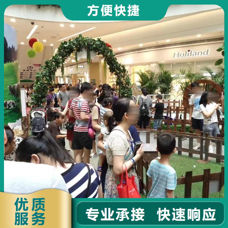 马戏团/羊驼_羊驼出租欢迎询价