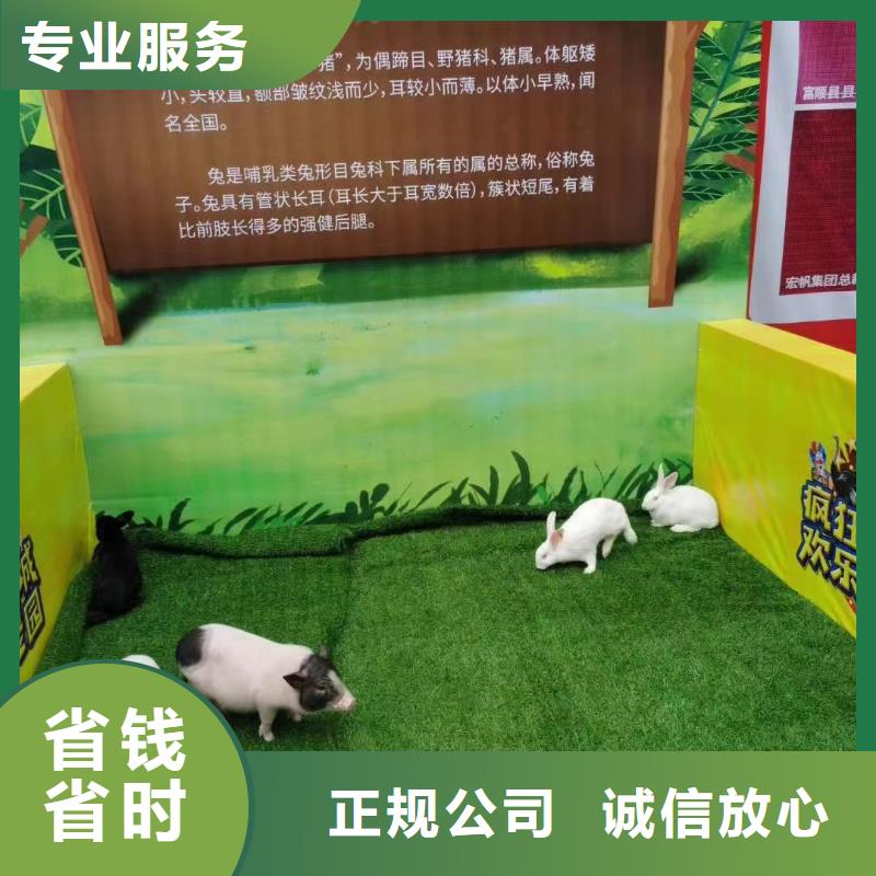 马戏团羊驼表演出租生产厂家质量过硬