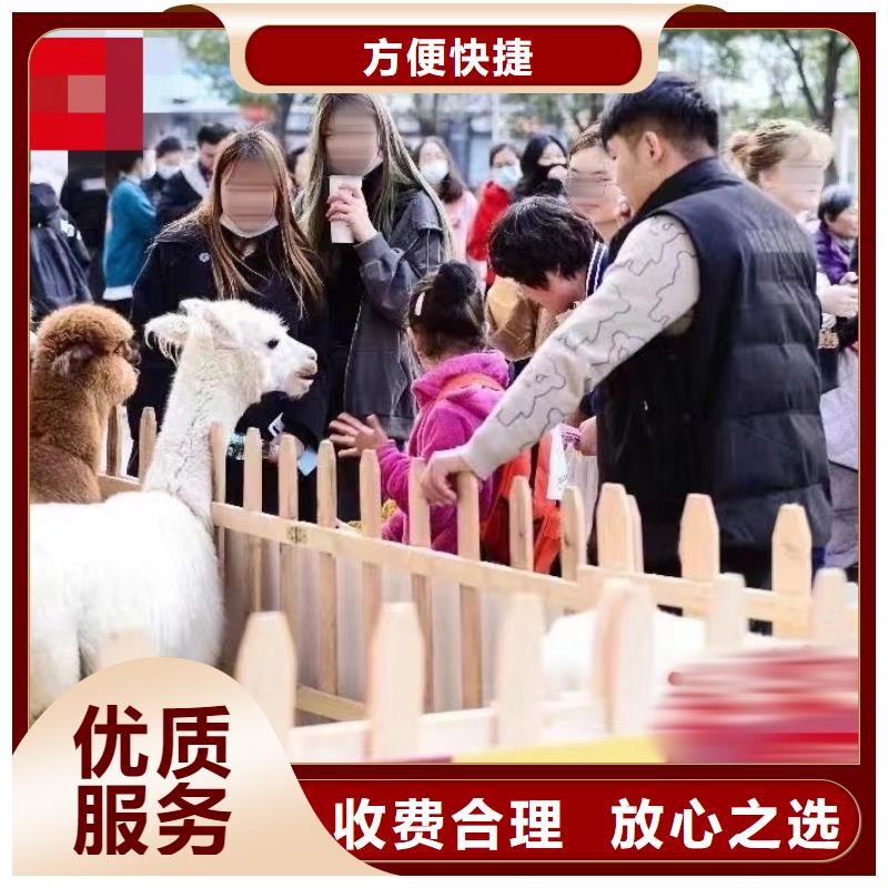 动物展租赁