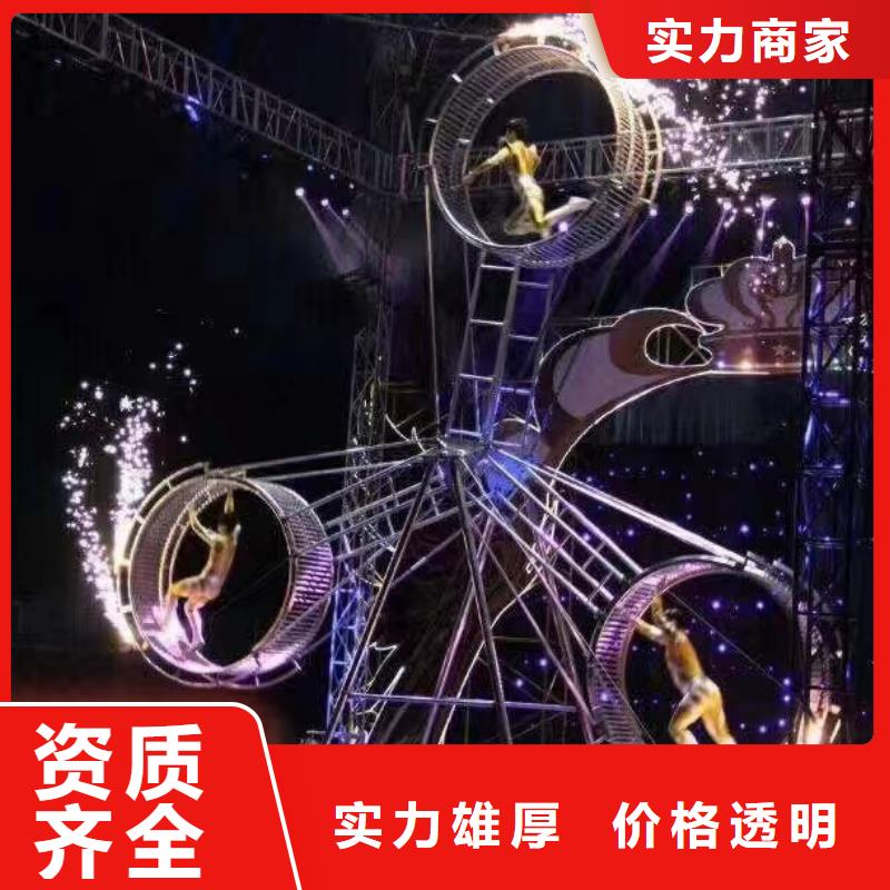哪里有出租羊驼的
