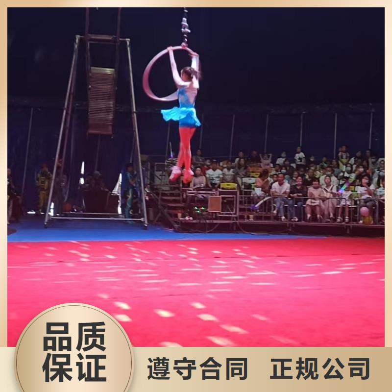 马戏团/羊驼【出租海狮表演】售后保障