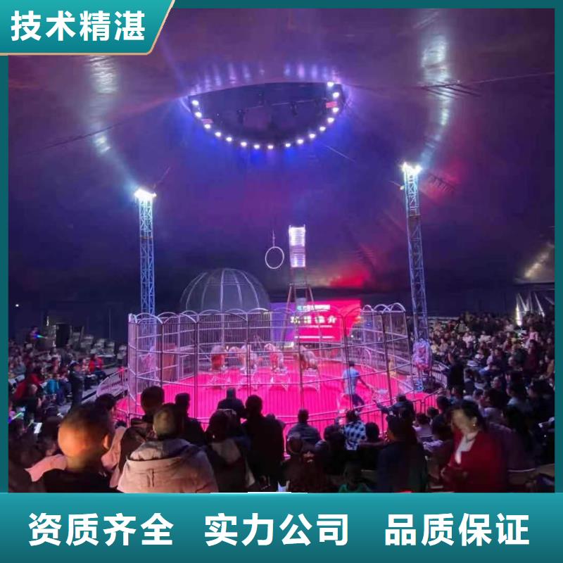 马戏团表演商场活动