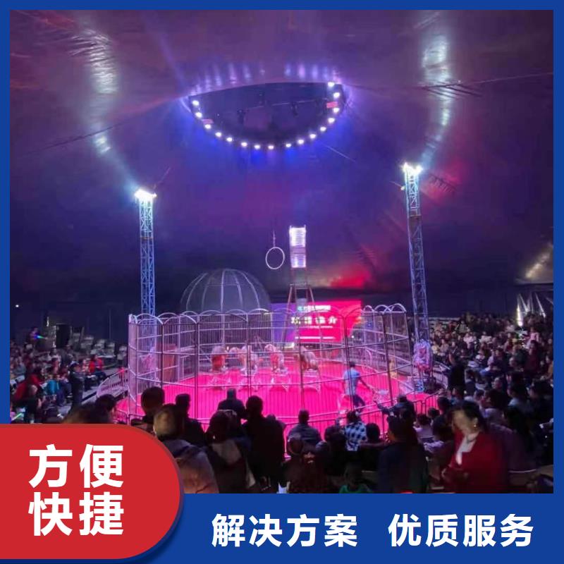 马戏团/羊驼【出租海狮表演】质量保证