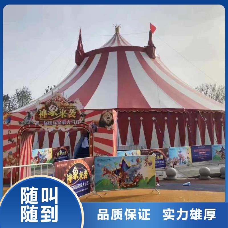 马戏团/羊驼马戏团表演出租租赁一站搞定