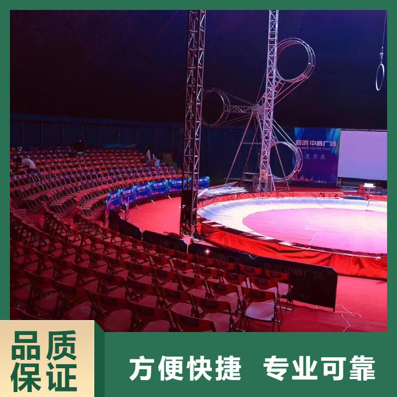 马戏团/羊驼【动物展览秀】精英团队