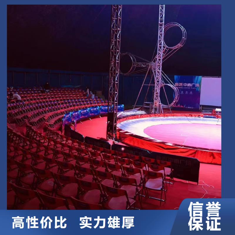 萌宠动物展