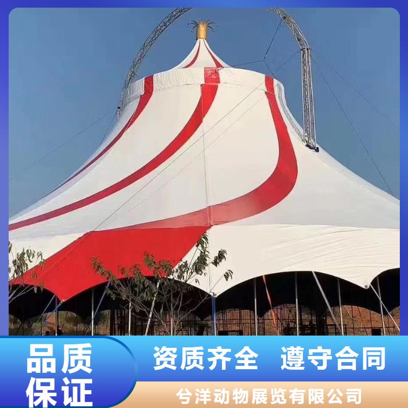 哪里有租赁羊驼的商家优选