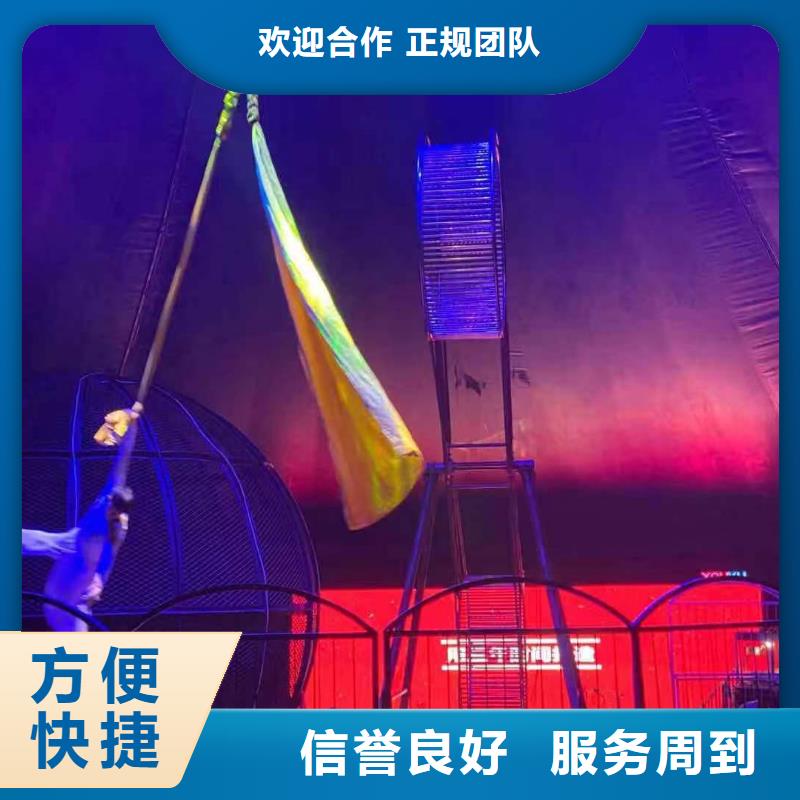 马戏团表演出租活动庆典