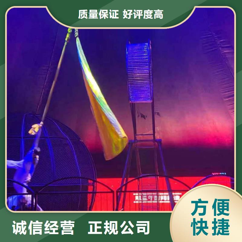 马戏团/羊驼马戏团表演出租租赁从业经验丰富