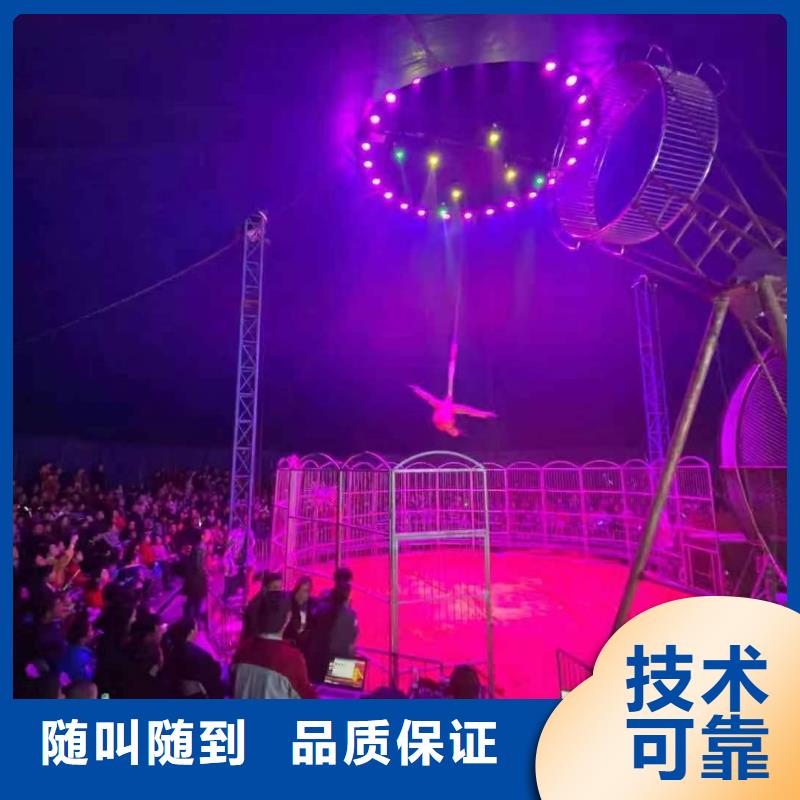 萌宠动物展览点击图片