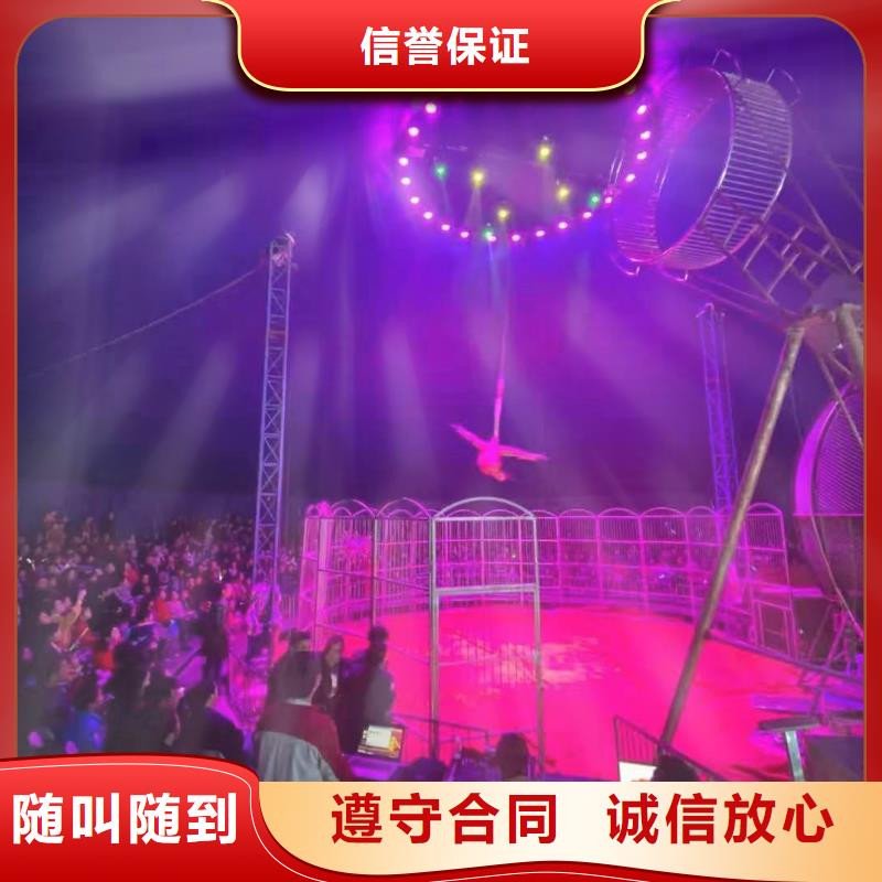 环球飞车表演出租活动庆典