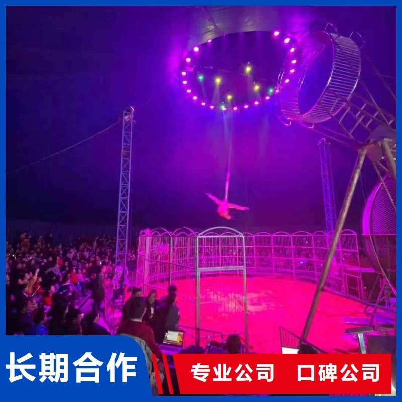哪里有羊驼租赁的活动方案